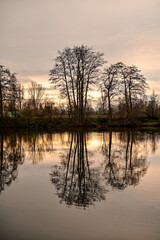 See bei Sonnenuntergang mit Spiegelung der Sonne und Bäume im Wasser, Grafenrheinfeld bei...
