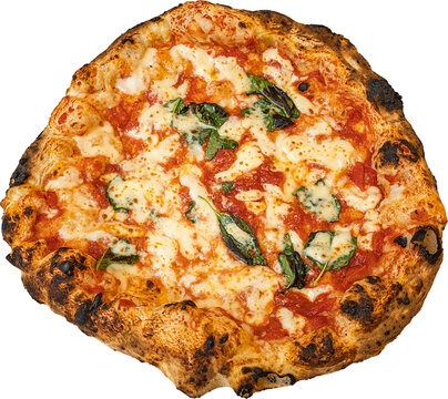 Pizza Margherita Napoletana Tradizionale cotta  in Forno a Legna