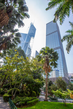 Amazing Chater park with palm trees in Central district of Hong Kong