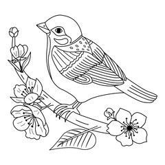 Sparrow on a cherry branch for a coloring book. Vector illustration of a cute sparrow sitting on a branch. Cherry blossom
