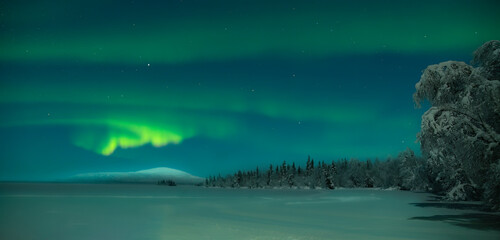The aurora borealis above Levi in Finland