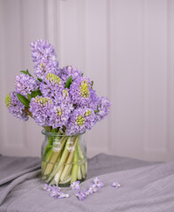 Hyazinthe, Frühling, Blume, lila, blau, Blumenvase, Vase, Glasvase, hell, freundlich, fröhlich, Blüte, Traube, blühen, Bündel, Pflanze, natürlich, farbenfroh, Botanik, grün, Schnittblume, Winter, Flor