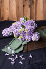 Hyazinthen in Ziegelform aus Holz, rustikale Dekoration im Frühling