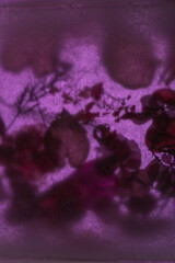 Fototapeta premium dried flowers and leaves, top view
