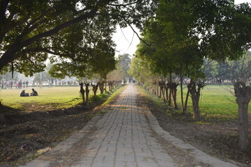 an empty road of a park evening view