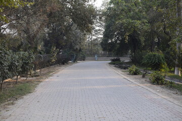 an empty road of a park evening view