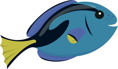Fototapeta premium Colorful vector illustration of blue tang (Paracanthurus hepatus). Cartoon animal isolated on white background. Illustration for children.