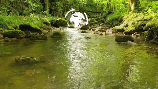 Green magic forest river with earth planet and recycle arrows animation. Concept ecology background. 