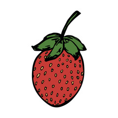 Vector strawberry clipart. Hand drawn berry icon. Fruit illustration. For print, web, design, decor