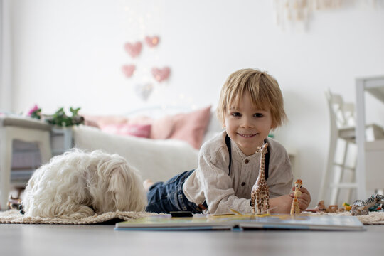 Cute blond preschool child, blond boy with pet maltese dog, reading book at home