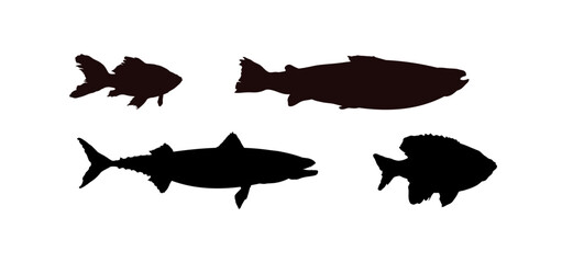 set of  a silhouette of a fish
