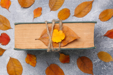 Fototapeta na wymiar Book decorated with autumn leaves on light gray table, top view