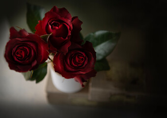 Red rose in a vase