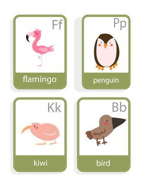 card with birds  flamingo, penguin, kiwi,  vector set
