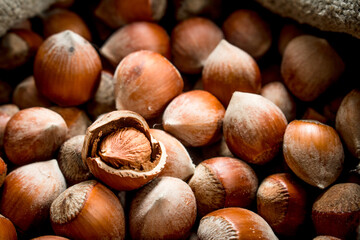 Hazelnuts in the shell.