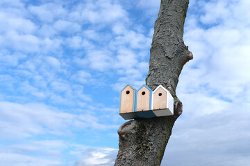 three birdhouses attached high on tree trunk against blue sky with clouds, birdhouse for new spring season, concept of bird's housewarming, bird breeding, pest controlhelping animals