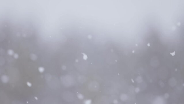 video snowing intro snowfall canon eos r5 100p slowmotion sustainable winter sequence b-roll slow snowfall grey start for the video corporate marketing annual report