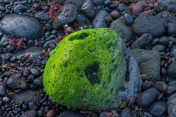 Piedra volcánica natural con musgo verde