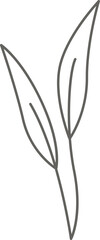 Leaf of dandelion line art Contemporary floral design