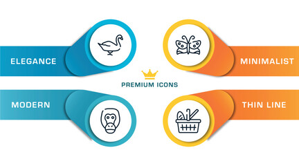 zoo outline icons with infographic template. thin line icons such as swan, orangutan, butterflies, picnic basket vector. © VectorStockDesign