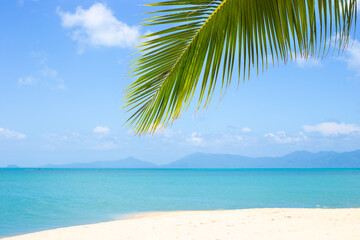 Fototapeta na wymiar Seascape. Beach with white sand and azure sea, palm leaf against the sky