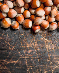 Hazelnuts in the shell.