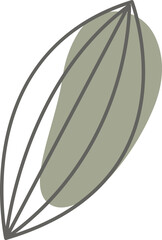 Leaf of dandelion line art with colorful spot background