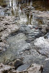 Creek water rushing through rock