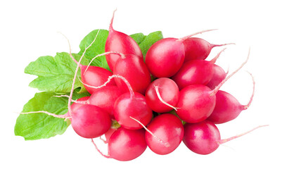 Bunch of red radishes cut out