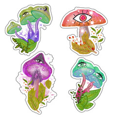 Hand drawn Mystical Magical Mushrooms in vibrant colors  