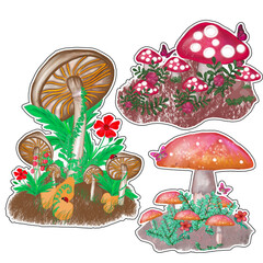 Hand drawn Mystical Magical Mushrooms in vibrant colors  