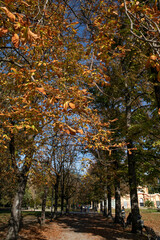 Parco Ducale della citt&agrave; di Modena, Emilia Romagna