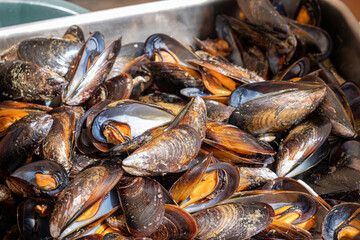Tray of steamed mussels, close-up view