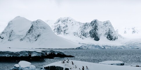 Fototapeta na wymiar Mountain snowy peaks of Petermann Island in Antarctica, wit overcast grey sky. 