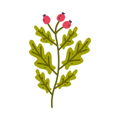 Floral Twig with Berry and Leaves as Cute Foliage Vector Illustration