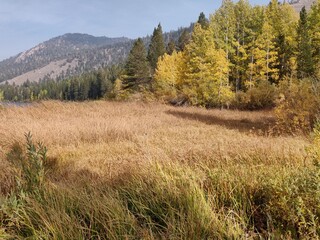autumn in the mountains