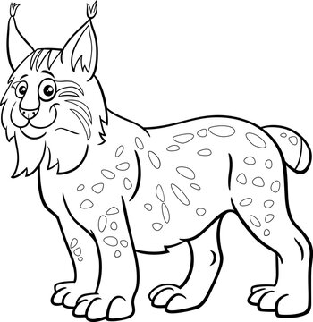 recommend clip art: funny cartoon lynx animal character coloring page