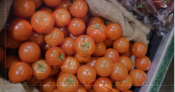 Animation of statistical data processing over close up of fresh tomatoes at a grocery store