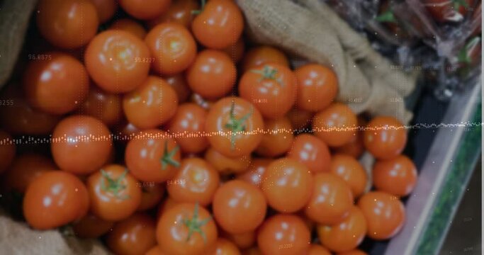 Animation of data processing over close up of fresh tomatoes at a grocery store