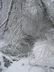 Footpath on a bridge over a river in the forest in a white winter landscape with snow.