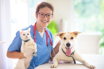 Vet examining dog. Puppy at veterinarian doctor.