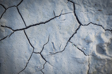 Obraz premium Cracked earth in the top view for the background or graphic design with the concept of drought and death.