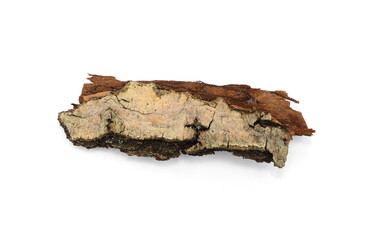 Tree bark isolated on a white background. piece of bark 