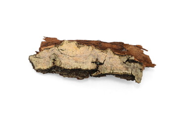 Fototapeta premium Tree bark isolated on a white background. piece of bark 
