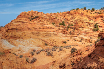 Wire Pass Trail in Southern Utah
