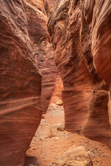 Wire Pass Trail in Southern Utah