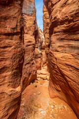 Wire Pass Trail in Southern Utah