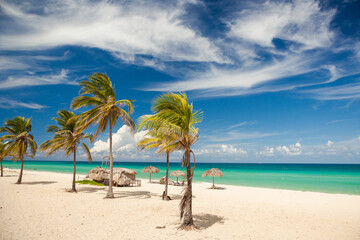 Caribbean beach view with palms and ocean