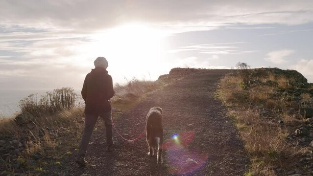 Older woman walking her dog by the ocean, sunny day, seaside, retirement life, pet ownership, good dog. 4K PRORES 422 24FPS