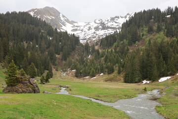 The Chésery pass is a small pass of France located in the Alps, in the Chablais massif, at 1,992...